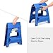 Acko 2-in-1 Dual Purpose Folding Step Stool Two Step Ladder Durable Plastic Folding Stool with Pedal Easy Storage 15 Inches Height 300 lbs Capability Blue
