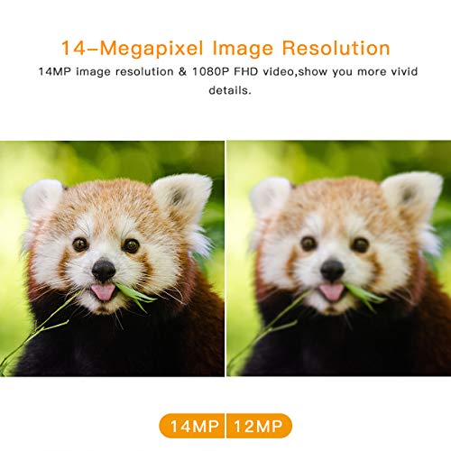 3 Campark+Waterproof+Monitoring+120%25C2%25B0Detecting+Activated