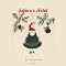 Livro Sofia e o natal (A Magia do Natal com os Amigos do Noel Livro 4)