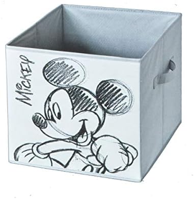 Domopak Living - Caja con Forma de Cubo, 32 x 32 x 32 cm: Amazon.es: Hogar
