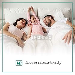 SGI bedding 600 Thread Count 4 Piece 100% Egyptian