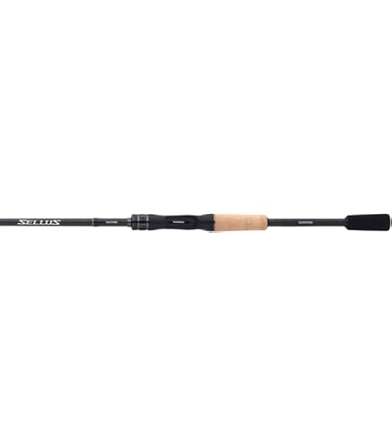 best shimano reel ever Shimano 2019 Stella SWC Spinning Reelse main image 1