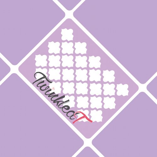 Quatrefoil Almaz Stencils Nail Vinyls By Twinkled T - 1 Sheet of 16 Stencils