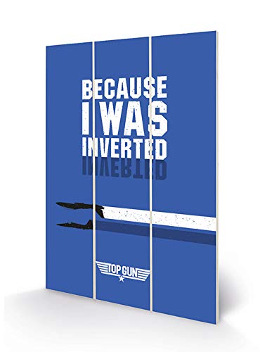 Top Gun Wall Art (Inverted Design) 20cm x 29.5cm - Official Merchandise ​ ​