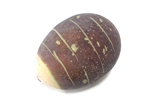 perfect2desire Taro Root Fake Food Fruit Artificial Lifelike Simulation Faux Fake Fruit Potatoes Fake Vegetable - Thumbnail 5