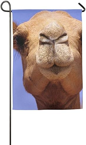 Fluttering Camel Animal Desert Fall Lawn Yard House Garden Flags 12 X 18 Semi Transparent Polyester Fiber Decorative