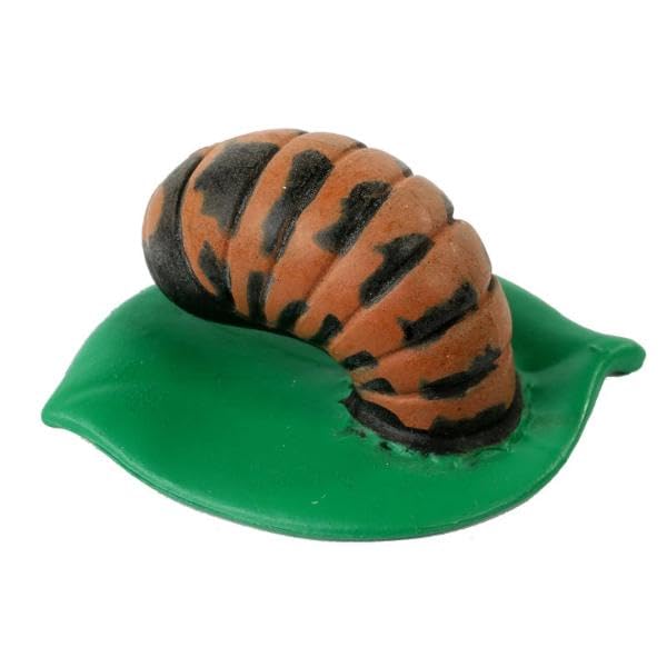 Insect Lore Live Baby Ladybug Larvae - Ladybug Growing Kit REFILL with Ladybug Life Cycle Toy Figurines - SHIP NOW