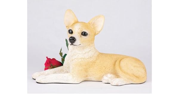 Amazon Com Ever My Pet Companion Chihuahua Short Hair Dog Pet