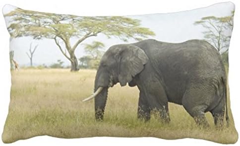 Zp Shine The Lovely And Cute Elephant Walking On The Lawn Freely Green Decorative Home Pillowcase Cover Cushion Cover 20X30 inch