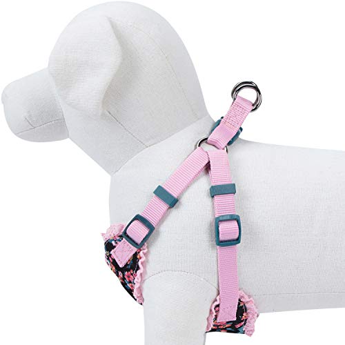 image for Blueberry Pet 6 Patterns Soft & Comfy Spring Made Well Elegant Floral 