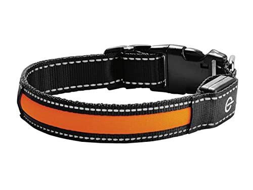 BARGAIN4ALL Reflective Nylon Dog Collar – with Safety Buckle – Adjustable Padded Breathable – Soft Neoprene – Medium Size (Orange)