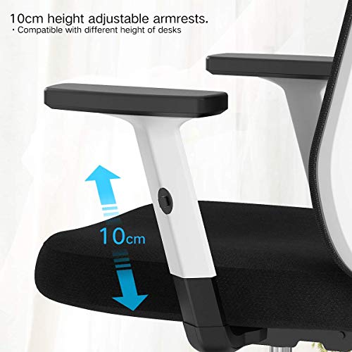 Hbada Ergonomic Office Desk Chair with Adjustable Armrest, Lumbar