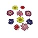 Assorted Colorful Real Pressed Dried Flowers Natural Dried Flowers for Art Craft DIY Resin