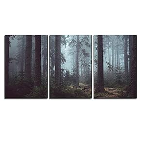 3 Piece Canvas Wall Art - Foggy Pin Forest - Modern Home Art Stretched and Framed Ready to Hang - 16"x24"x3 Panels