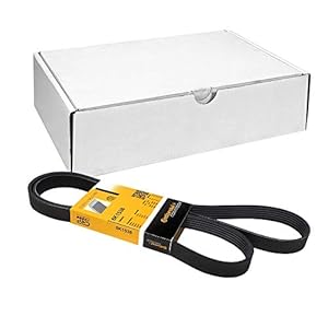 CONTITECH 6PK1538 V-geribbelde riem.