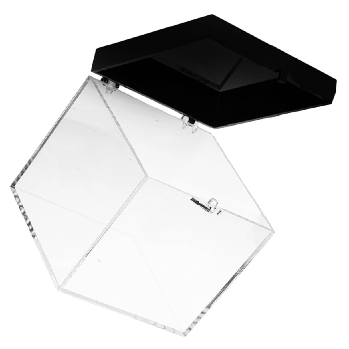 OKUMEYR Box Ore Display Box Clear Display Case Specimen Mineral Sample Case Specimen Case Plant Mineral Stone Showcase Display Cabinet Transparent Display Case Plastic Collection Storage,