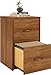 Ameriwood Home Core 2 Drawer File Cabinet, Bank Adler
