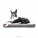 Brindle Khaki Shredded Memory Foam Dog Bed - Pet Essentials - Orthopedic Design - Crate Compatible - Machine Washable Cover - Indoor Pet Bed for Dogs, Puppies, Cats, and Rabbits - Size Medium 34 x 22
