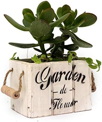 Unearth - Rustic Wooden Planter Box White