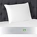 Beautyrest Latex Foam Pillow, Queen