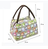 Fashion OWL Oxford cloth water proof Handbag meal bag for travel camping work school lunch box (26*18*18 CM)