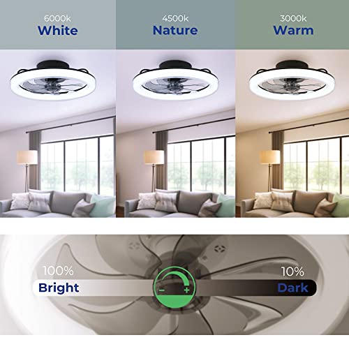 CHANFOK 20'' Ceiling Fans with Lights, Low profile