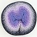 Scheepjes Yarn Whirl (786 - Dark Grape Squish - Aurora Collection)