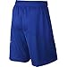 NIKE Men's Basketball Shorts, Game Royal/Game Royal/Game Royal/White, Large