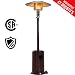 FDW Patio Tall Hammered Finish Garden Outdoor Heater Propane Standing LP Gas Steel w/Accessories, Bronze primary
