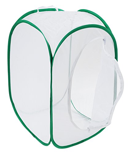 Insect and Butterfly Habitat Terrarium Pop-up - 23.6 Inches Tall (White)