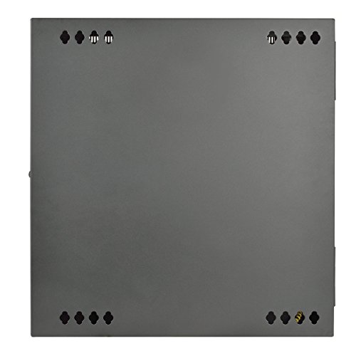 Tripp Lite 10U Wall Mount Rack Enclosure Server Cabinet, Hinged, 20.5" Deep, Switch-Depth (SRW10US)