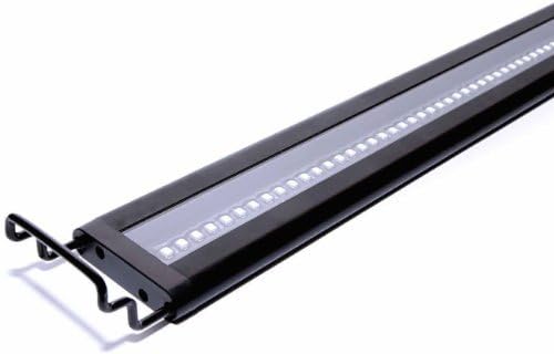 Satellite Freshwater Led 48"-60"