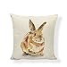 PSDWETS Easter Rabbit Home Decor Pillow Covers Set of 4 Cotton Linen Cute Bunny Throw Pillow Case Cushion Cover 18 X 18