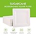 FOCUSLINE 100% Compostable Paper Plates 10 Inch, 100 Pack Heavy Duty Disposable Square Dinner Plates, Biodegradable, Eco-Friendly, Made of Natural Sugarcane Fibers
