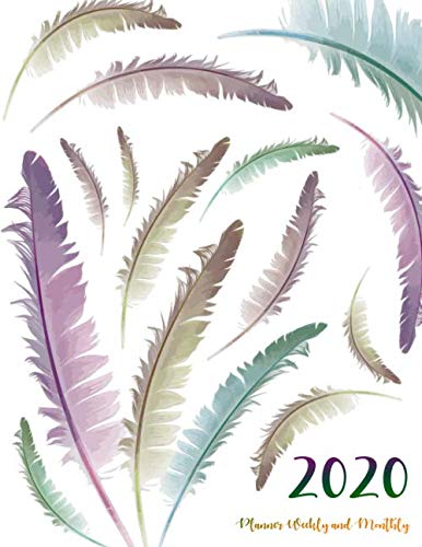 2020 Planner Weekly and Monthly: Year 2020 - 365 Daily - 52 Week journal Planner Calendar Schedule Organizer Appointment Notebook, Monthly Planner (2020 calendar) by Ginny Mc Cooks