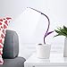 iEGrow Kids desk Lamp for Rooms, Cute Desk Lamp USB Charging Desk Lamp with Pen holder for Home study (Purple)