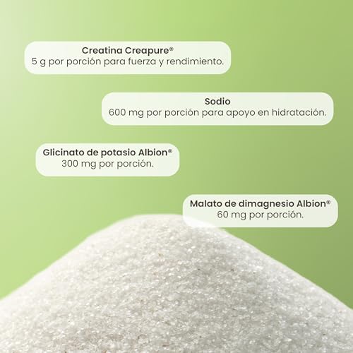 Matter U-nit Stronger, Electrolitos Sin Azucar Premium con Creatina Creapure®, Polvo para Mezclar, Hidratación y Rendimiento para Pre Entreno y Entrenamiento, Mix de Sabores, 1 Caja con 24 Porciones