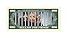 Hillary For Prison 2016 Collectible Novelty Dollar Bill