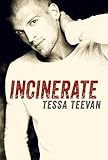 Incinerate (Explosive, #2)