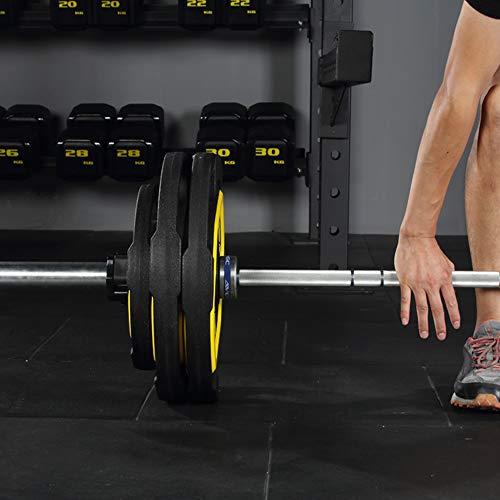Bumper-Weight-Plates-for-Olympic-Competition-Barbell-with-Steel-Hub-1-Pair-Compatible-with-2-Inch-Bars-for-Free-Weight-Strength-Training