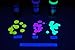 Opticz Daytime Visible Luminescent UV Blacklight Reactive Marking Ink (3 Color Variety Pack, 2 Ounce)