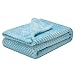 Fuzzy Blanket or Fluffy Blanket for Baby, Soft Warm Cozy Coral Fleece Toddler, Infant or Newborn Receiving Blanket for Crib, Stroller, Travel, Decorative (28Wx40L, XS-Ice Blue)