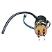 PLDDE New 1pc High Performance DC 12V Electric Gas Intank EFI Fuel Pump Assembly Connector+Filter/Strainer+Clamps+Rubber Hose Compatible with Mule 1000 2500 2510 2520 3000 3010 3020