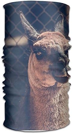 Magic Headwear Camel Look Fence Outdoor Scarf Headbands Bandana Mask Neck Gaiter Head Wrap Mask Sweatband