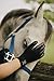Best Pet Grooming Gloves for Dogs, Cats, Horses, Rabbits. De-Shedding Brush, Bathing Tool. Animal Hair Remover for Long & Short Fur. Gentle Massager, Increasing Circulation & Overall Health. Black