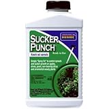 Sucker Punch Knock Out Sprouts Brush Applicator