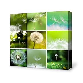 Romantic Dandeli Painting Wall Poster Decor for Living...