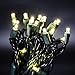 KingDom-LL 50 LED Bulbs Christmas Lights Plug in - AIDDOMM, LED Bulbs String Lights for Outdoor and Indoor, Party, Patio, Warm White, Green Wire, 25 Feet, UL Listed