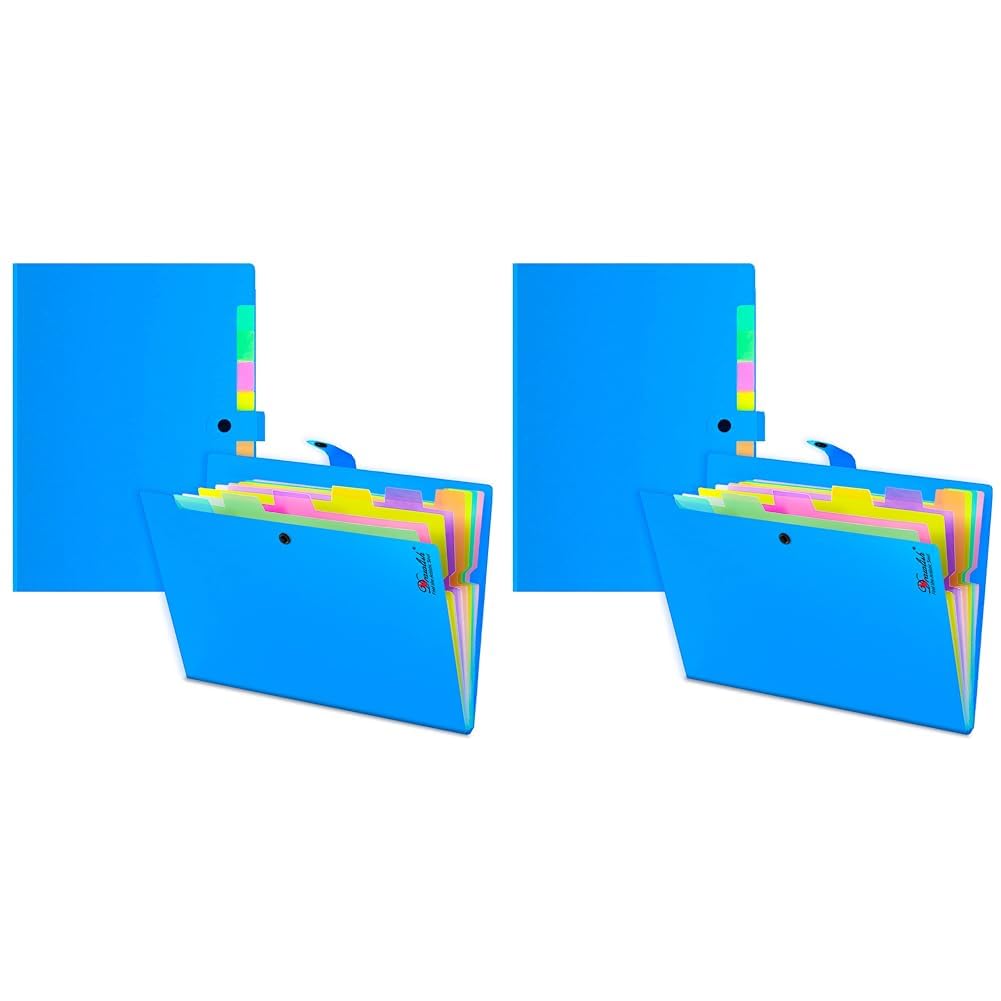 Expanding File Organiser 2 Pcs with 10 Colorful Poly Pockets Each - Document Organiser A4 Folder - Sky Blue Accordion File Folder with Tabs for Office, Business Trip, School & Home (Pack of 2)