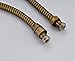 Rozin Antique Brass Handheld Showerhead + Shower Holder + Shower Hose